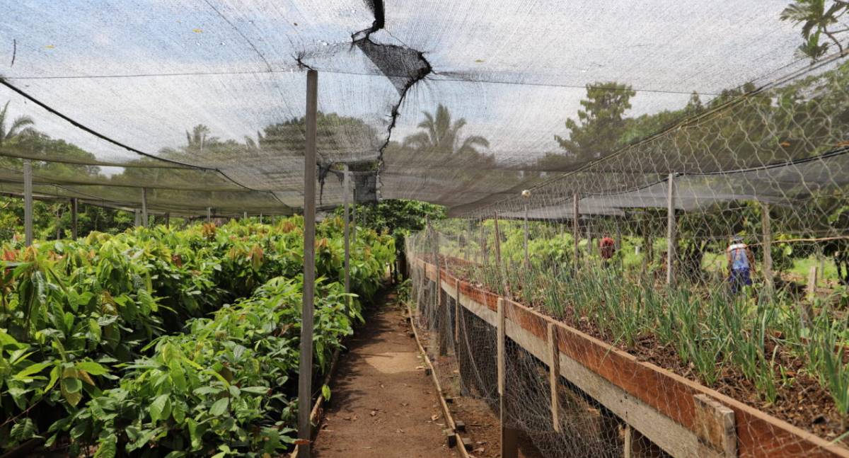 Ações do Plano Pena Justa são ampliadas com visita técnica à Fazenda Futuro em Porto Velho