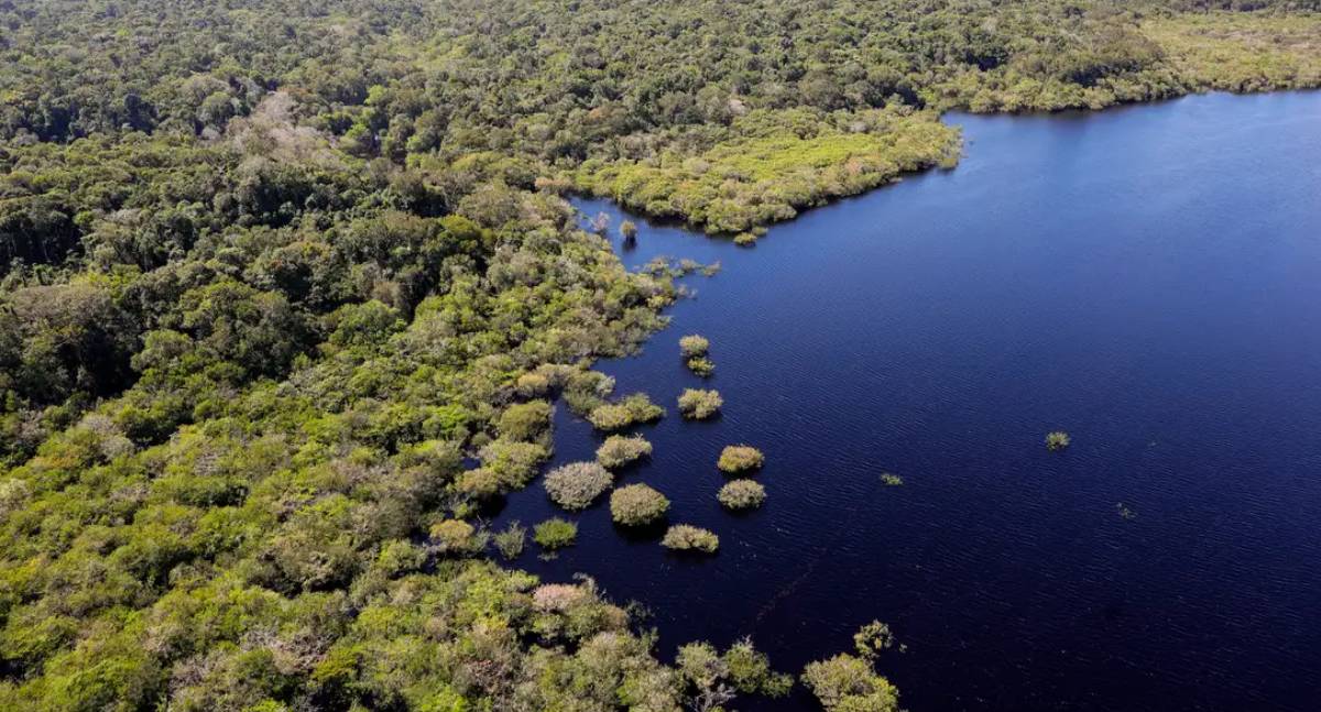 Amazônia e Cerrado registram queda de 11% no desmatamento