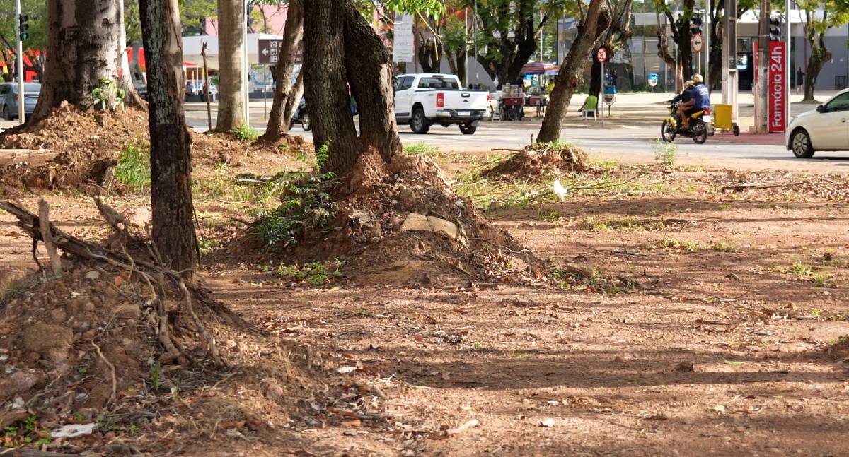 Antigo ponto de alagamento em Porto Velho será transformado em espaço de convívio social