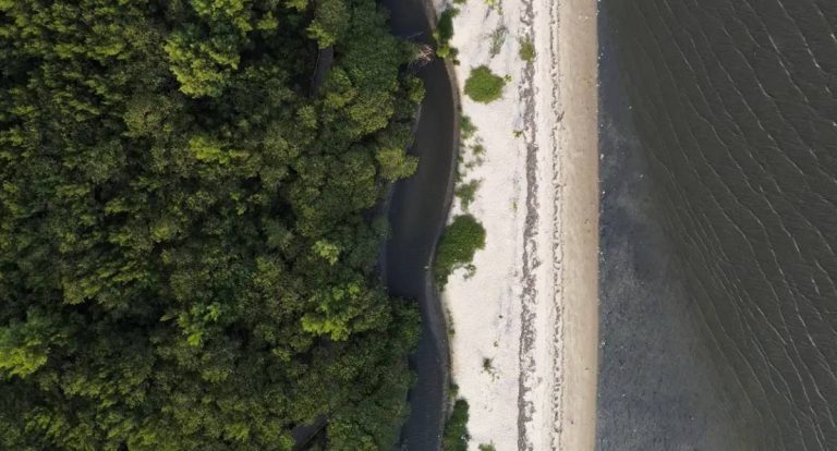 Astros e astrofísicos se unem em defesa do Planeta Terra antes da COP30