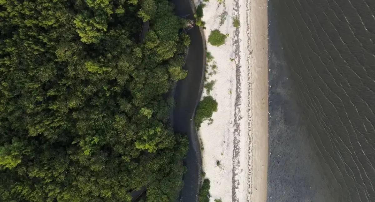 Astros e astrofísicos se unem em defesa do Planeta Terra antes da COP30