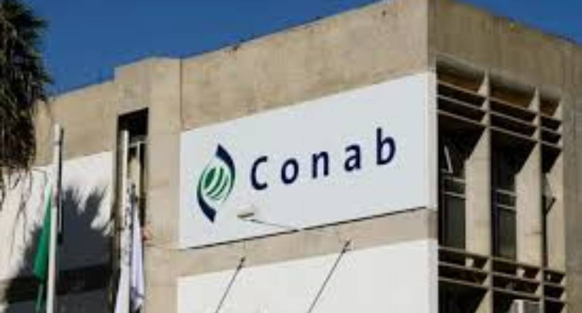 Bônus do PGPAF de outubro beneficia produtores de 21 produtos agrícolas em todo o país