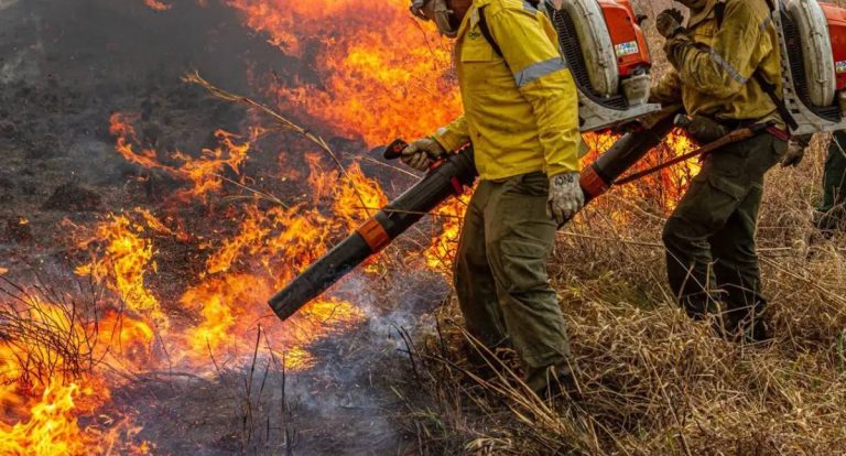 Brasil propõe ação global contra incêndios florestais na Pré-COP
