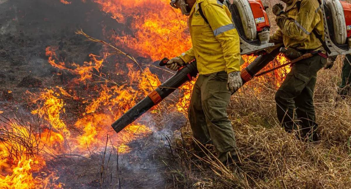 Brasil propõe ação global contra incêndios florestais na Pré-COP