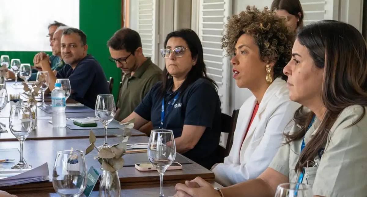 Câmara pede ao Ibama fiscalização de crimes ambientais da CSN