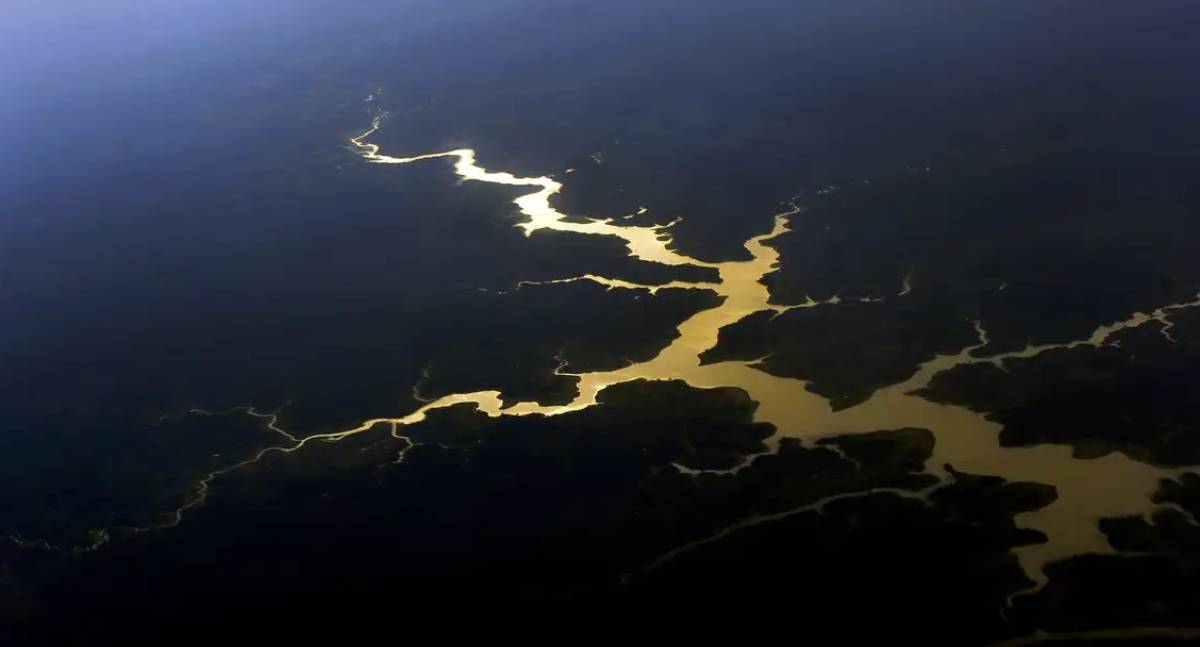 Floresta Amazônica na crise climática com perda de carbono iminente