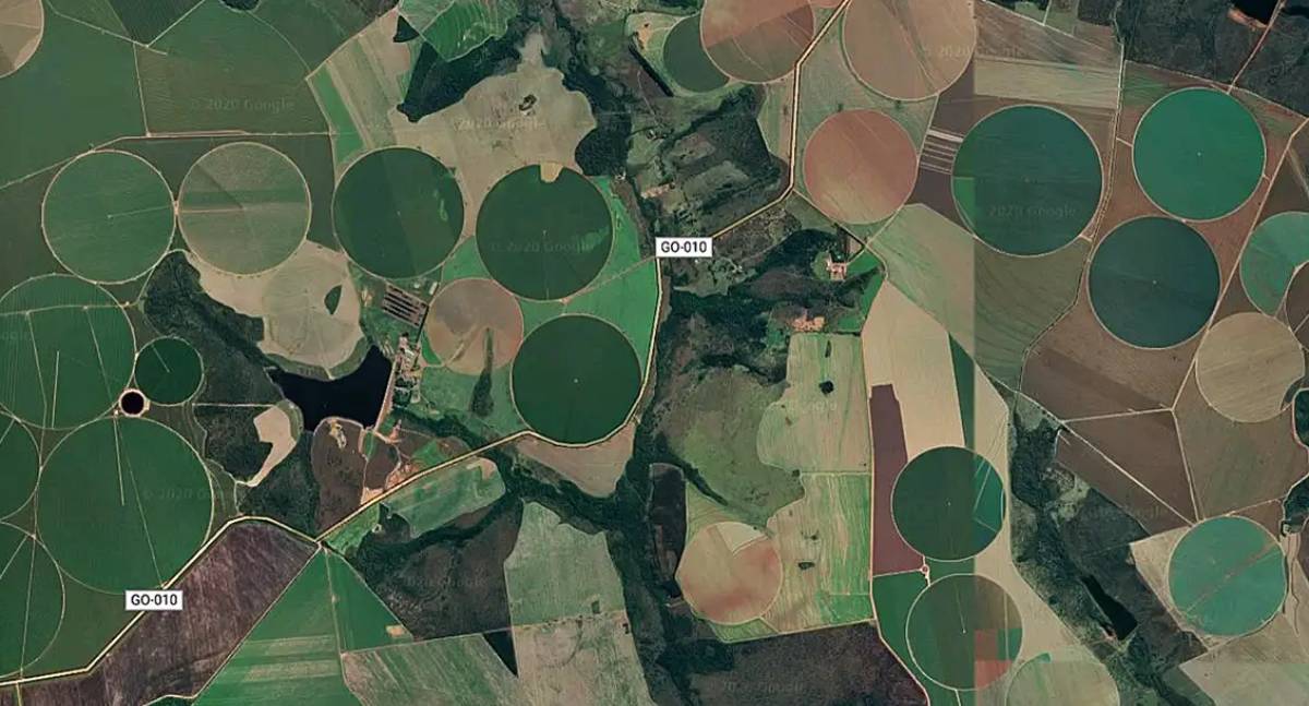 Cerrado perde 28% da vegetação nativa em 40 anos, aponta MapBiomas