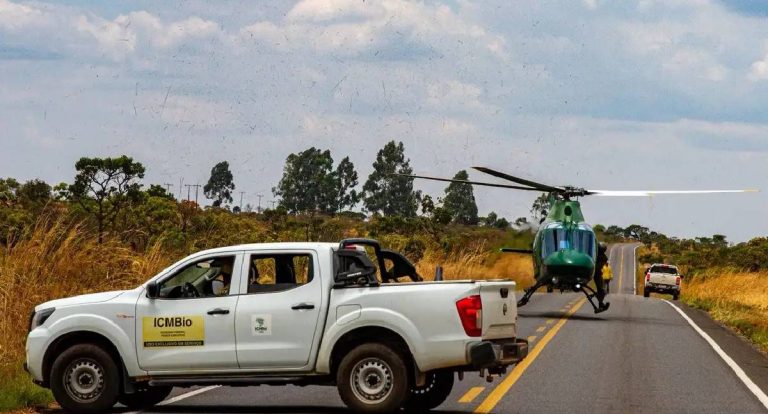 Chuva contribui para controle de incêndios na Chapada dos Veadeiros