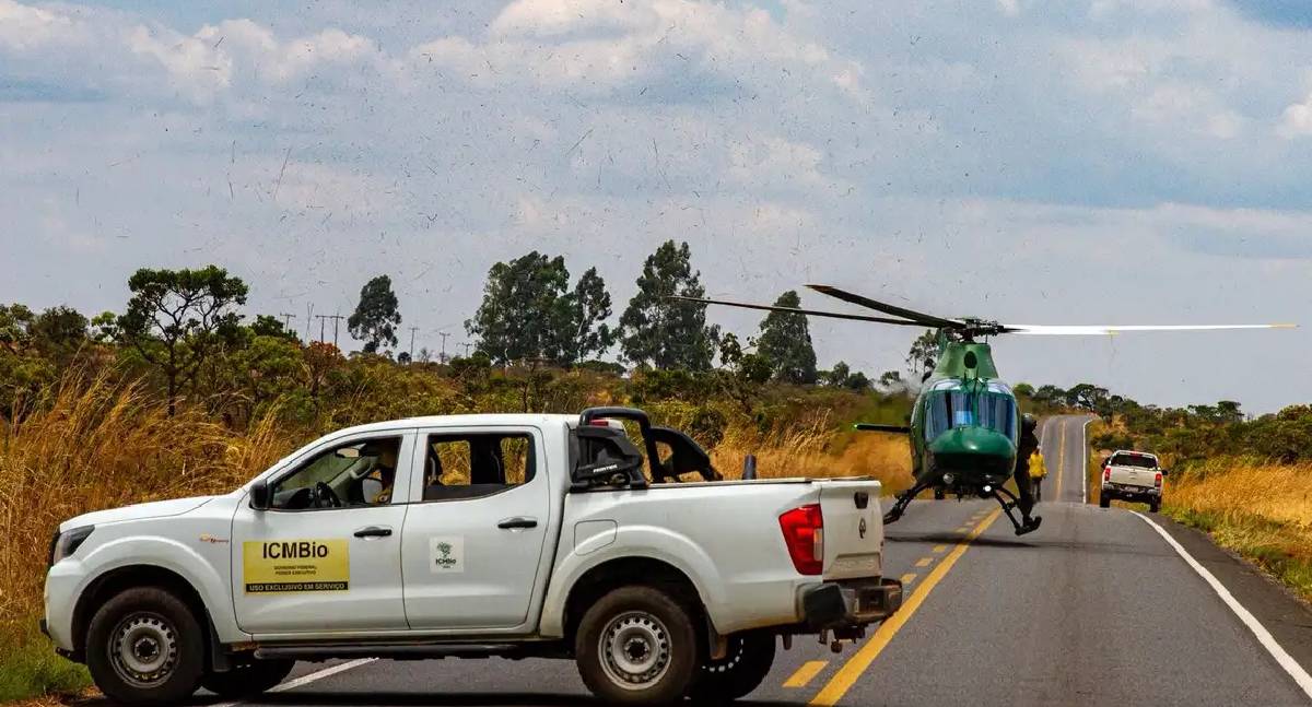 Chuva contribui para controle de incêndios na Chapada dos Veadeiros