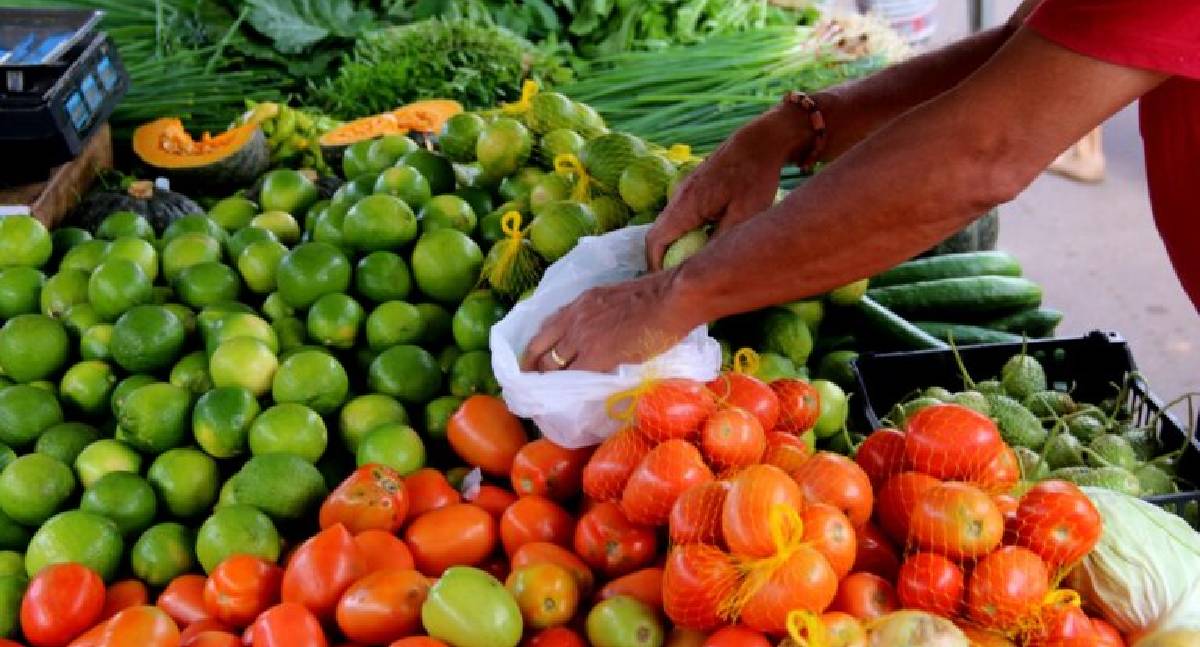 Cláudia de Jesus pede prorrogação do prazo de entrega do Programa de Aquisição de Alimentos