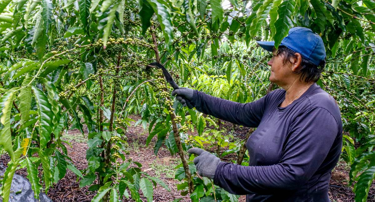 Cláudia de Jesus solicita implementos agrícolas para fortalecer agricultura familiar em Theobroma