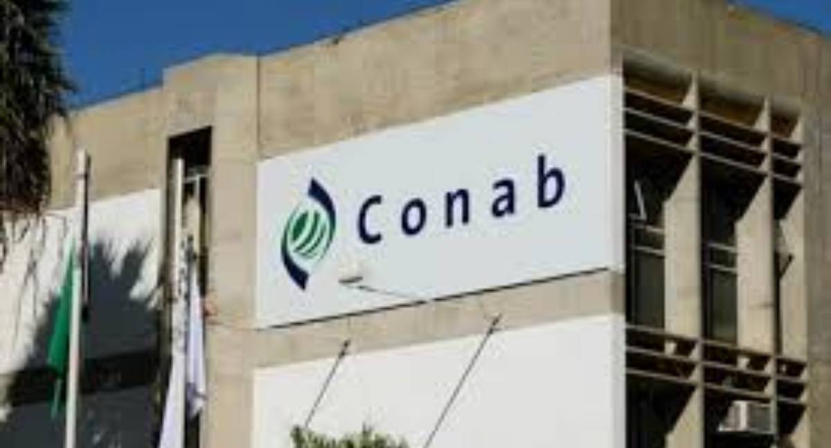 Conab publica comunicado para aquisição de kits de alimentos da COP30.