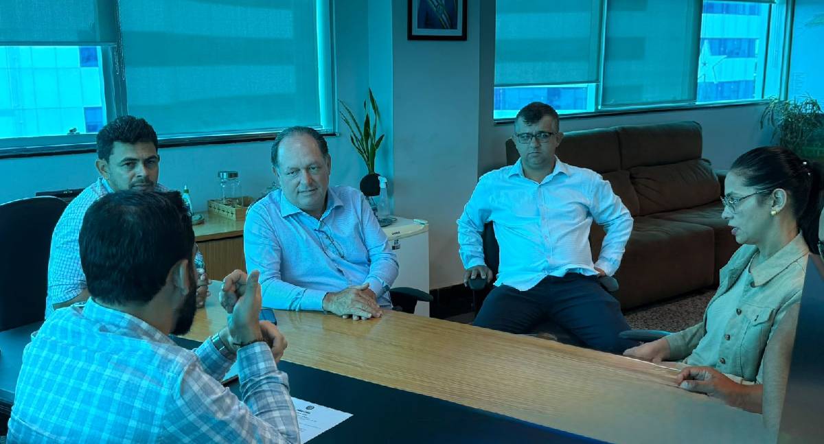 Deputado Pedro Fernandes solicita recuperação da ponte sobre o Rio Preto em Rio Crespo