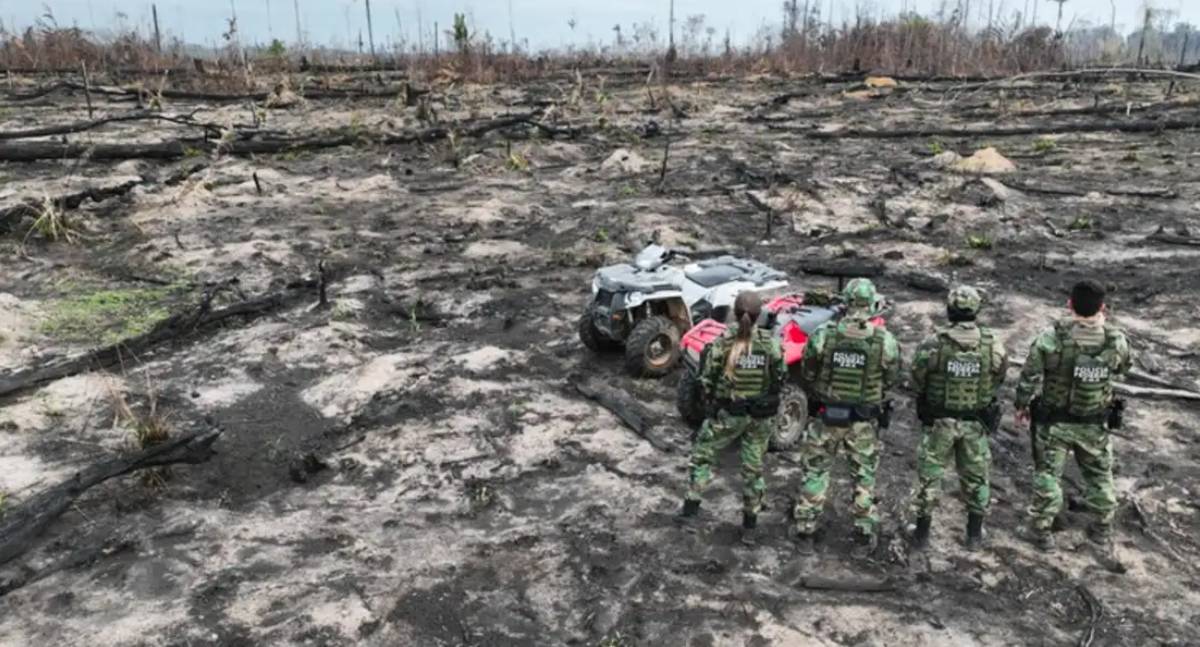 Desmatamento na Amazônia ameaça igarapés e segurança hídrica da região