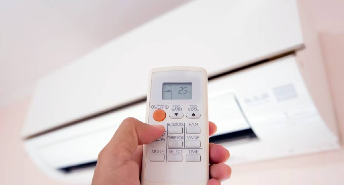 Dia do Consumo Consciente reforça economia de energia e hábitos sustentáveis