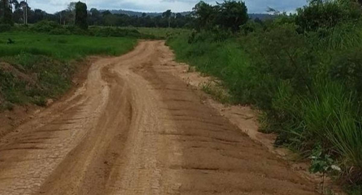 Dra. Taíssa solicita revitalização de estrada rural na Linha 3A Menezes Filho, em Buritis