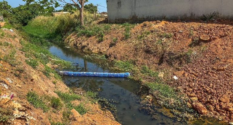 Ecobarreiras reforçam ações de Porto Velho contra alagamentos e poluição