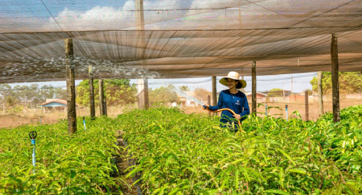 Ecoporé Fortalece Voz da Amazônia no Conselho Deliberativo do FNMA