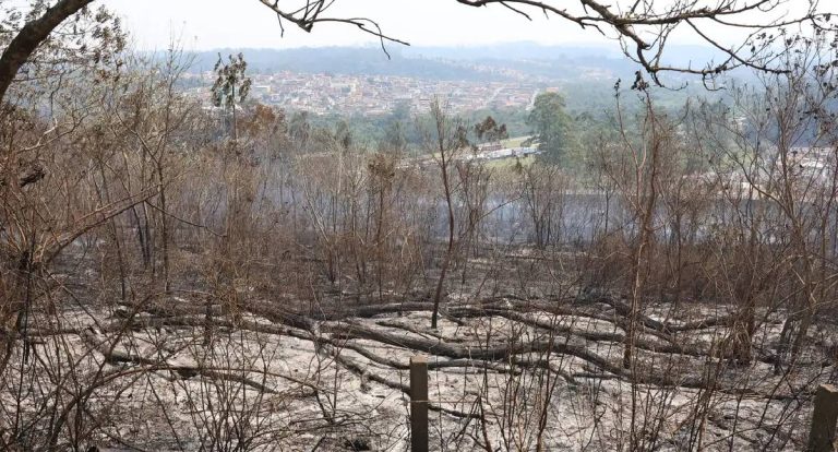 Estudo aponta que financiamento climático no Brasil é desigual