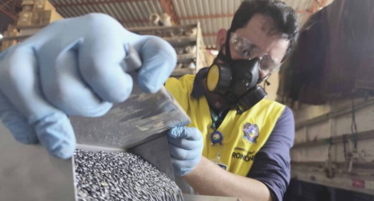 Fiscalização para combater fraudes na comercialização de sementes é intensificada pelo Governo de RO