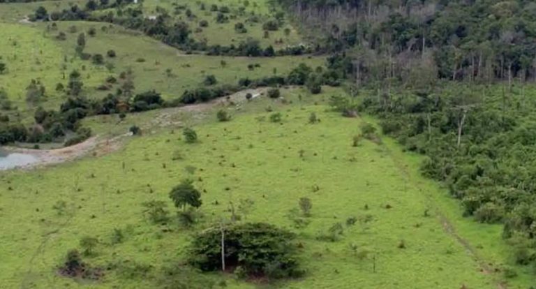 Georreferenciamento de imóveis rurais é prorrogado para 2029