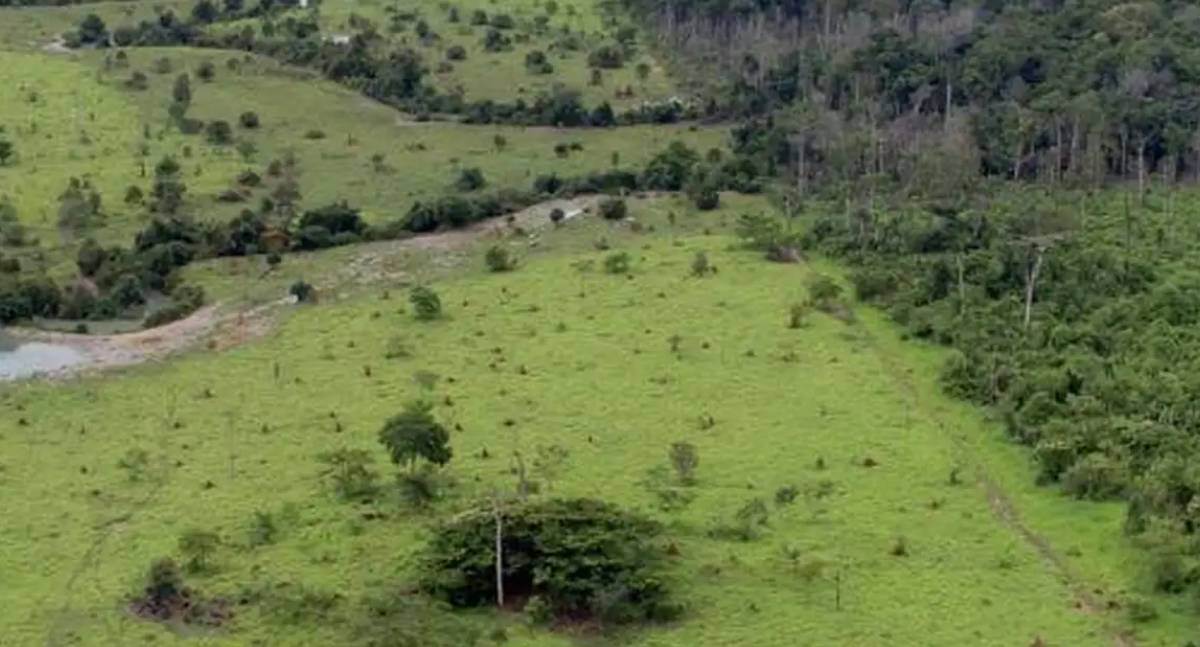 Georreferenciamento de imóveis rurais é prorrogado para 2029