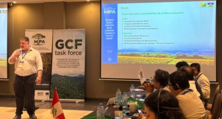 Governo de Rondônia reforça compromisso com Nova Economia Florestal em encontro internacional