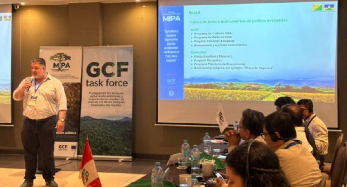 Governo de Rondônia reforça compromisso com Nova Economia Florestal em encontro internacional