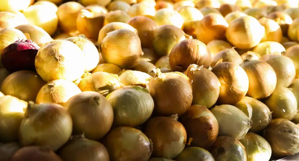 Inflação acumulada de alimentos registra menor nível desde setembro de 2024