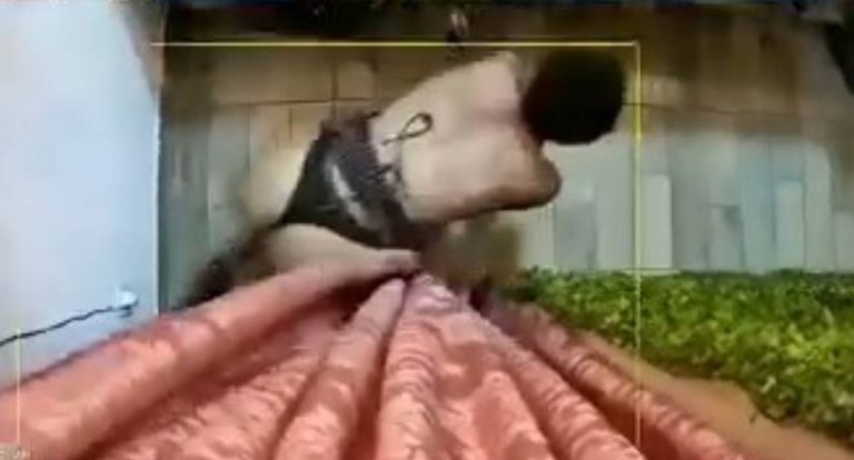 Ladrão de calcinha fio dental furta floricultura em Rondônia