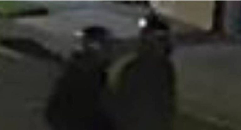 Ladrões furtam moto e saem empurrando veículo em Rondônia