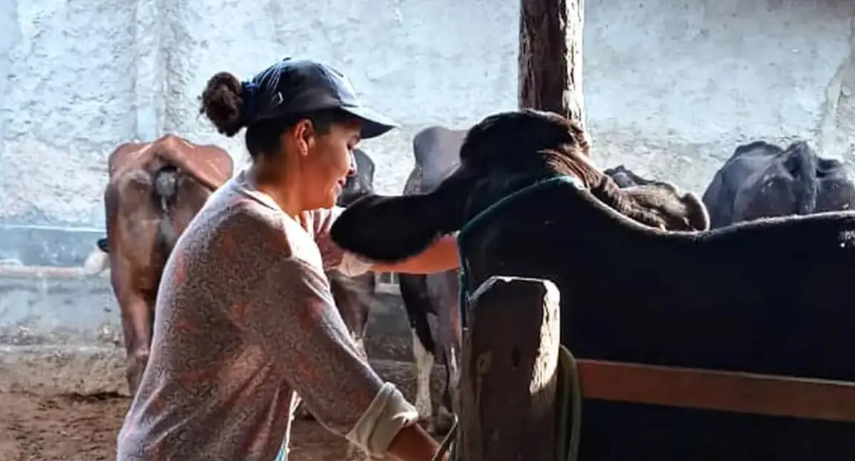 Mulheres rurais enfrentam informalidade e desigualdade de gênero no campo