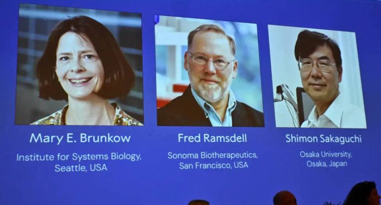 Nobel de Medicina premia ciência da tolerância imunitária periférica