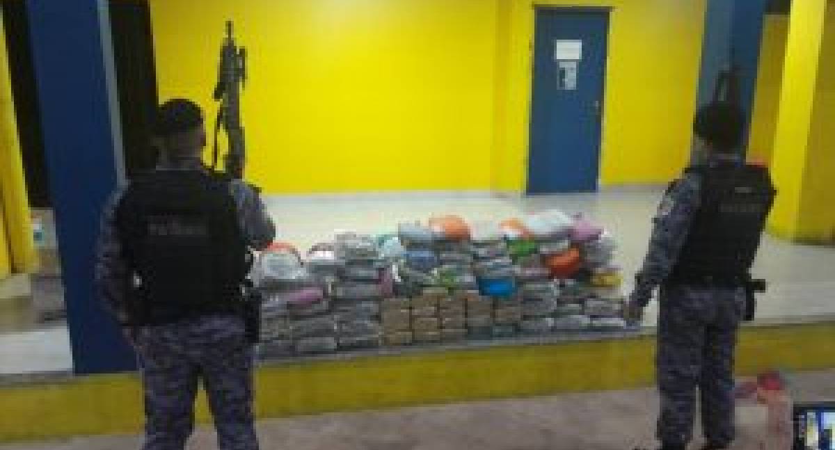 Operação conjunta apreende 100 kg de maconha em Rondônia