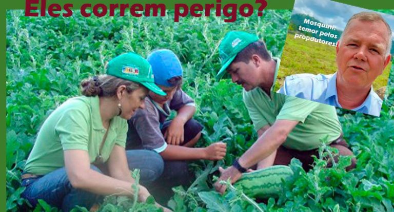 OPINIÃO DE PRIMEIRA - Governo vai gastar 600 milhões para fiscalizar 31 mil propriedades na Amazônia