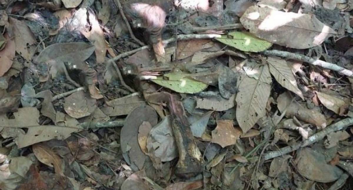 Ossada humana é encontrada em área rural de Novo Horizonte do Oeste