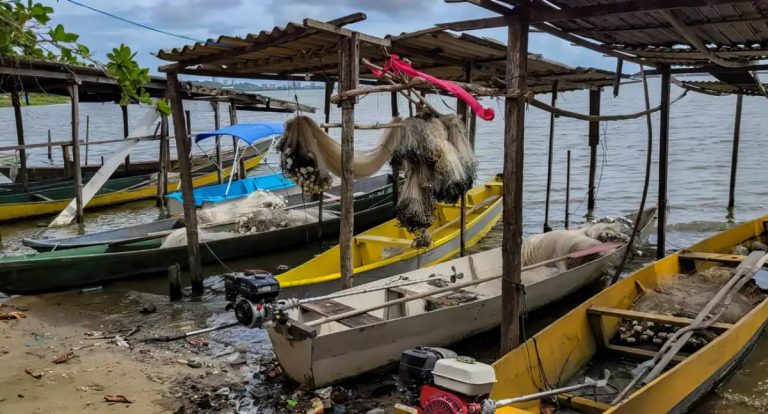 Pesca comercial é restrita com início do período de defeso da piracema