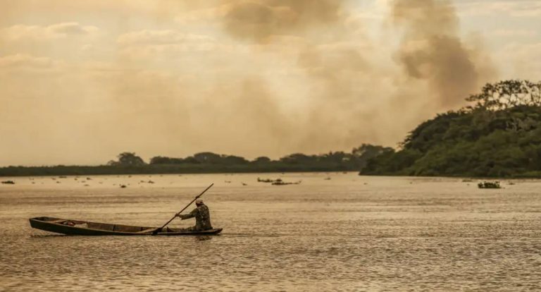 Pesquisadores alertam contra mercantilização da pauta climática