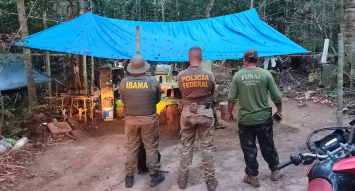 PF combate invasões e crimes ambientais na Terra Indígena Latundê