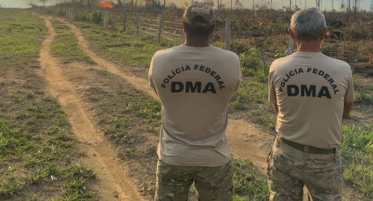 PF prende mulher por incêndio criminoso em área de floresta em Rondônia