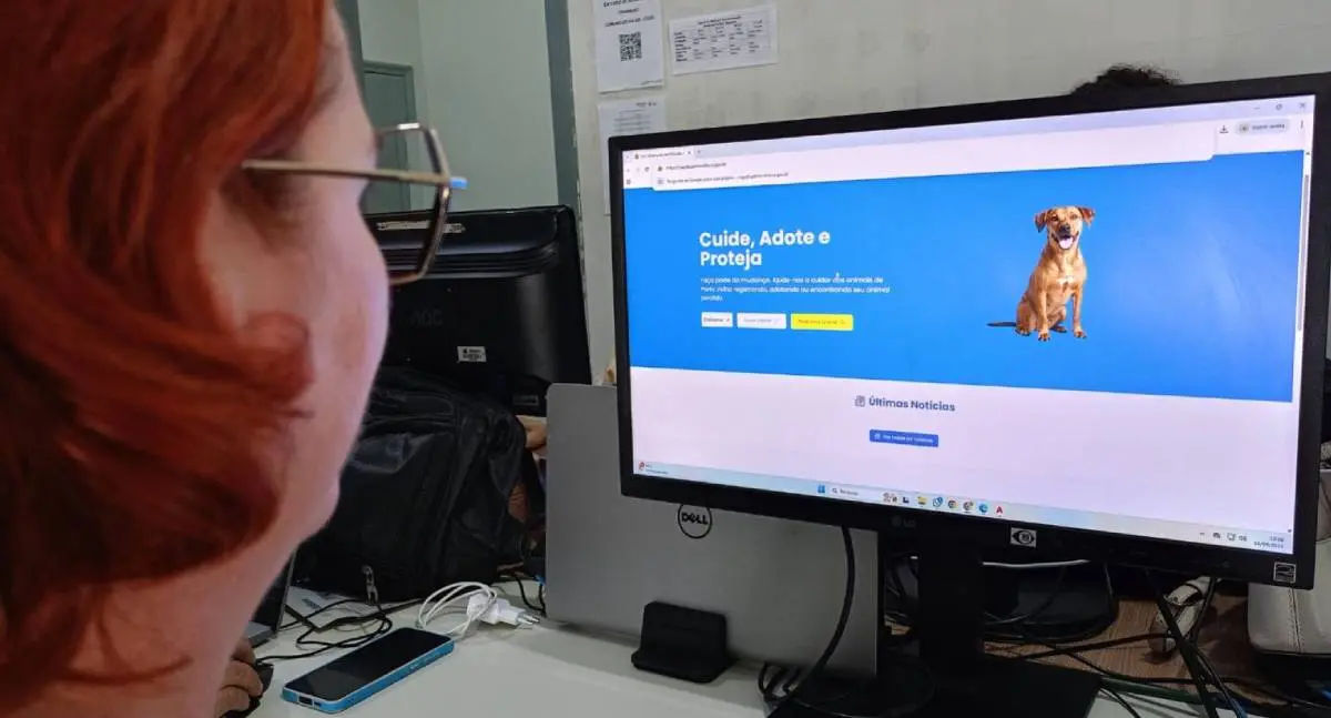 Plataforma Siapets incentiva adoção responsável e bem-estar animal em Porto Velho