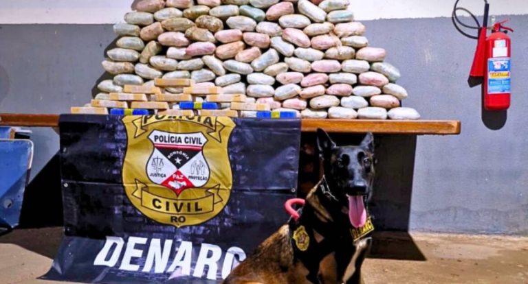 Polícia Civil apreende grande quantidade de drogas e armas em Porto Velho