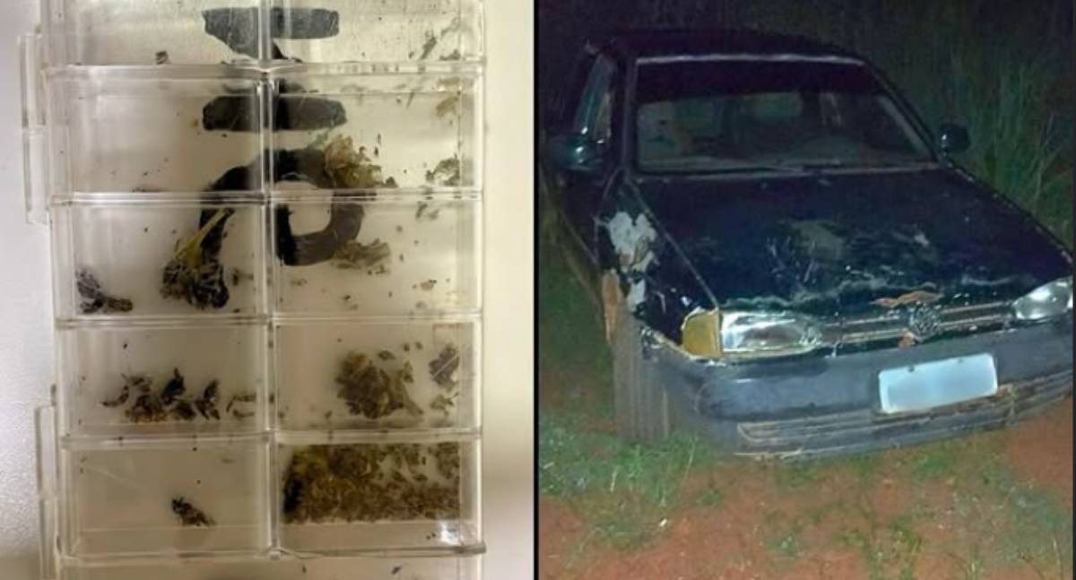 Polícia Civil de Rondônia prende faccionados por agressão em Guajará-Mirim