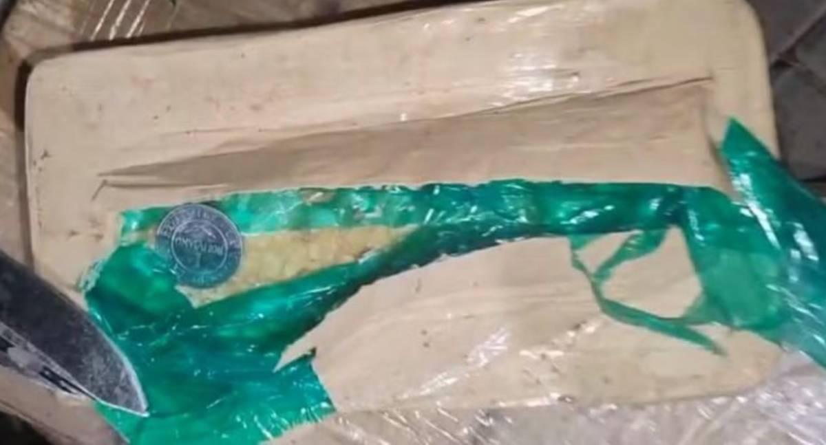 Polícia Federal apreende 466 quilos de crack escondidos em carga de peixe