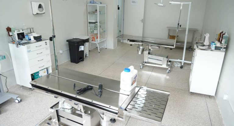 Porto Velho inaugura primeira clínica pública de bem-estar animal da região Norte