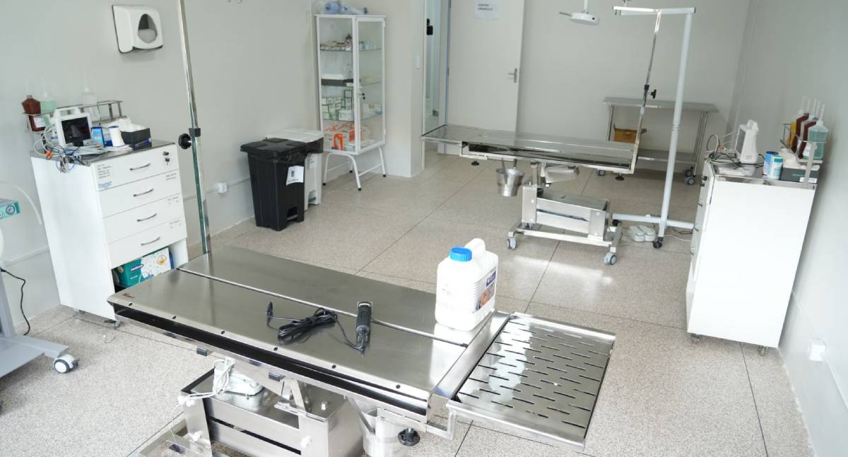 Porto Velho inaugura primeira clínica pública de bem-estar animal da região Norte