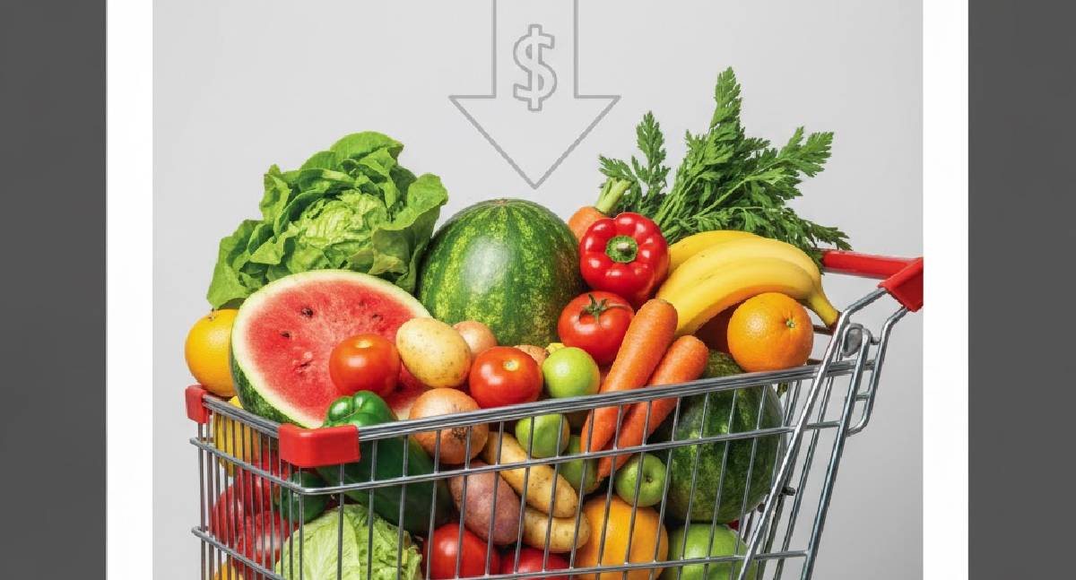 Preços de hortaliças seguem em queda nos mercados atacadistas, aponta Conab