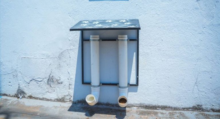 Prefeitura de Porto Velho adquire 18 toneladas de ração para apoiar entidades protetoras