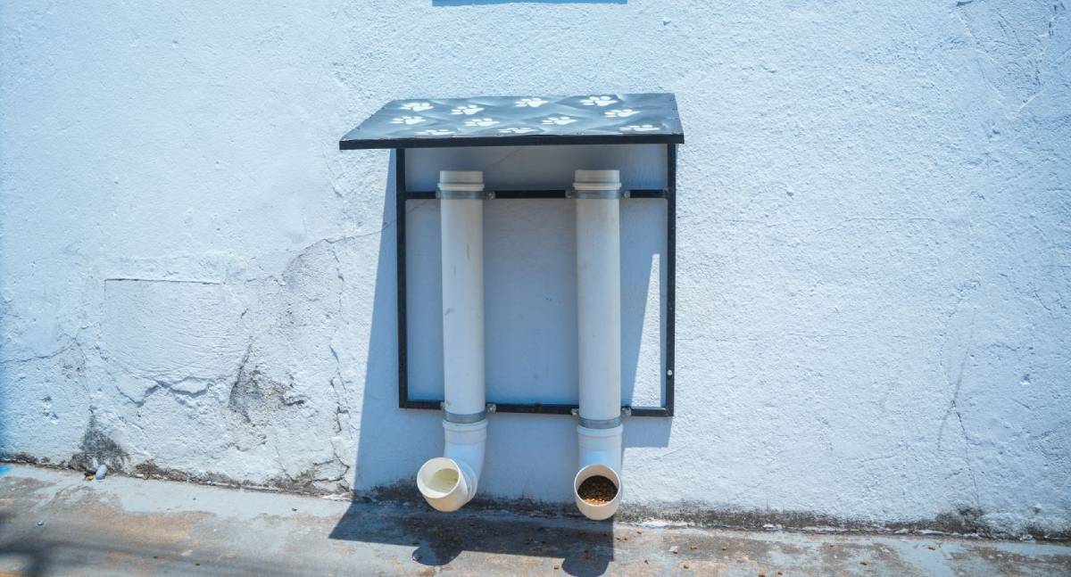 Prefeitura de Porto Velho adquire 18 toneladas de ração para apoiar entidades protetoras