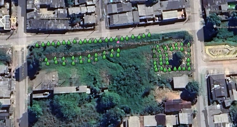 Prefeitura de Porto Velho realiza recuperação ambiental e manutenção de espaço público